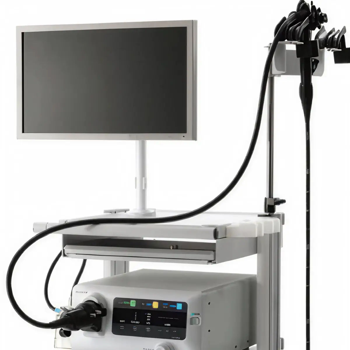 Endoscopio