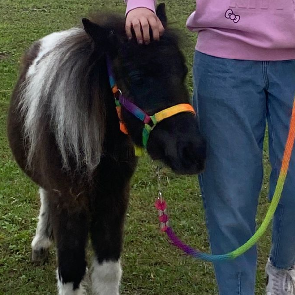 Ragazza che porta a passeggio un pony