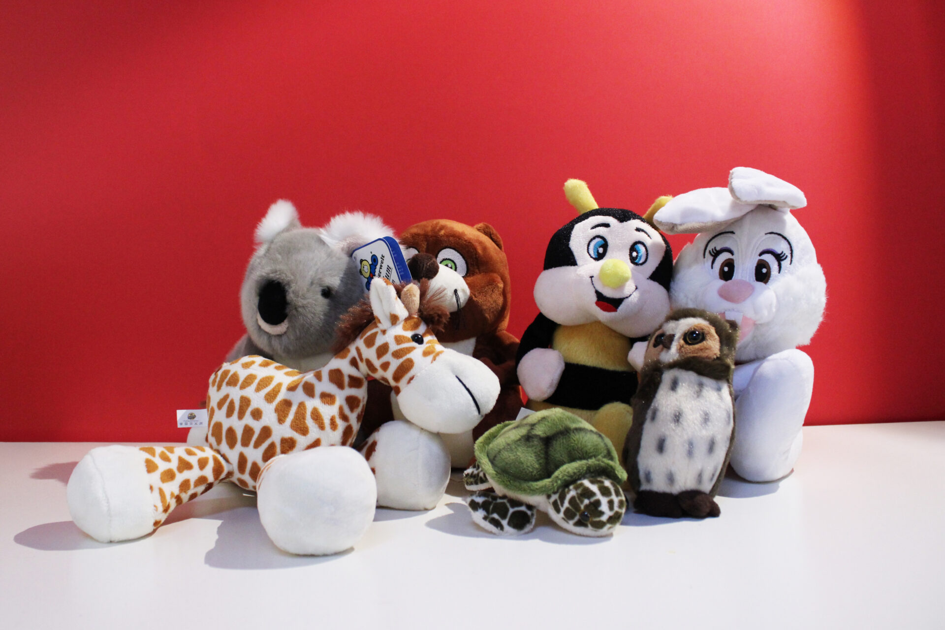 Peluche di varie dimensioni 🧸 Scegli il tuo preferito e porta a casa un sorriso! Donazione minima consapevole a partire da 5 &euro; 💛