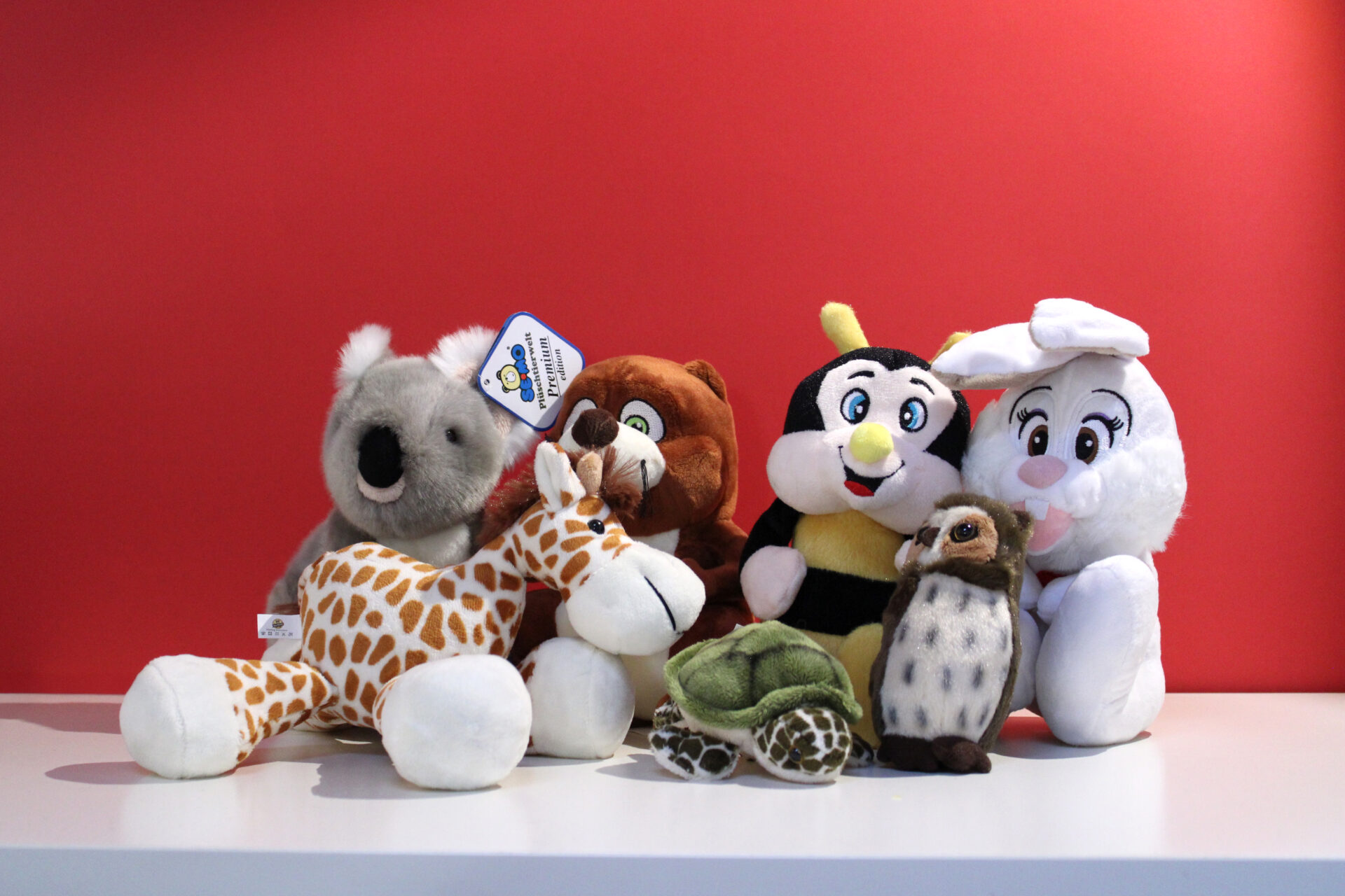 Peluche di varie dimensioni 🧸 Scegli il tuo preferito e porta a casa un sorriso! Donazione minima consapevole a partire da 5 &euro; 💛